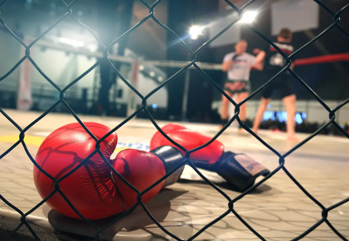 mma Conor McGregori