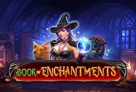 Book of Enchantments slot logo