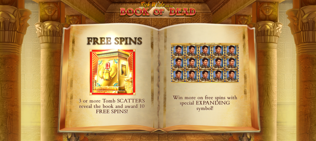 Book of Dead slot