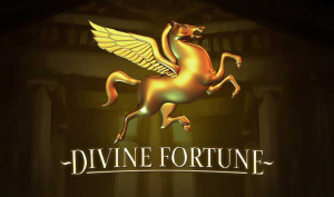 divine fortune logo